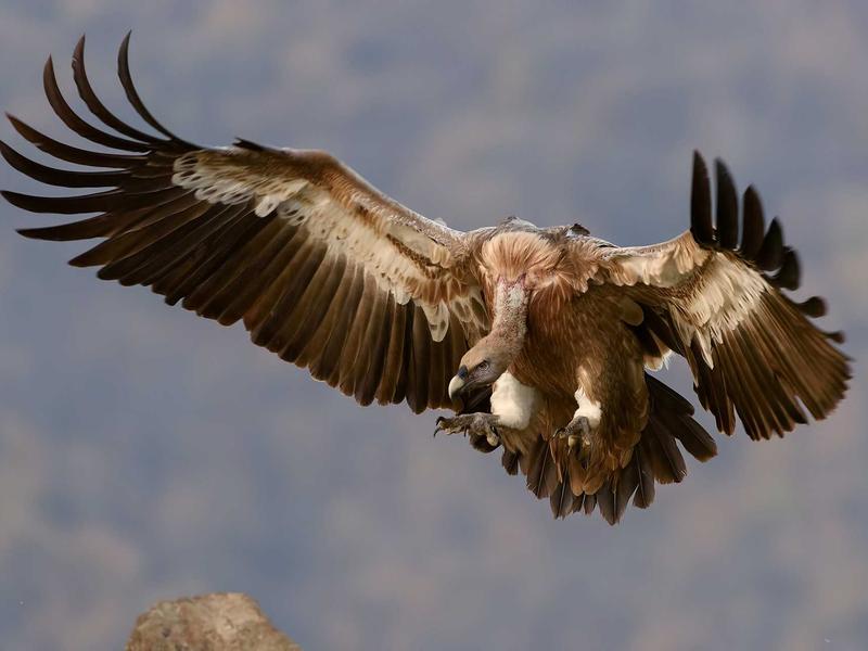 斯多葛派练习<br>yxepqio.cn 控制二分法